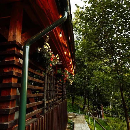 Swierkowe Zacisze Chalet Budzow (Sucha)