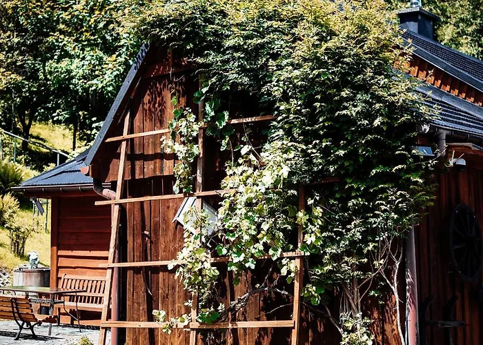 Chalet Swierkowe Zacisze Budzow (Sucha)